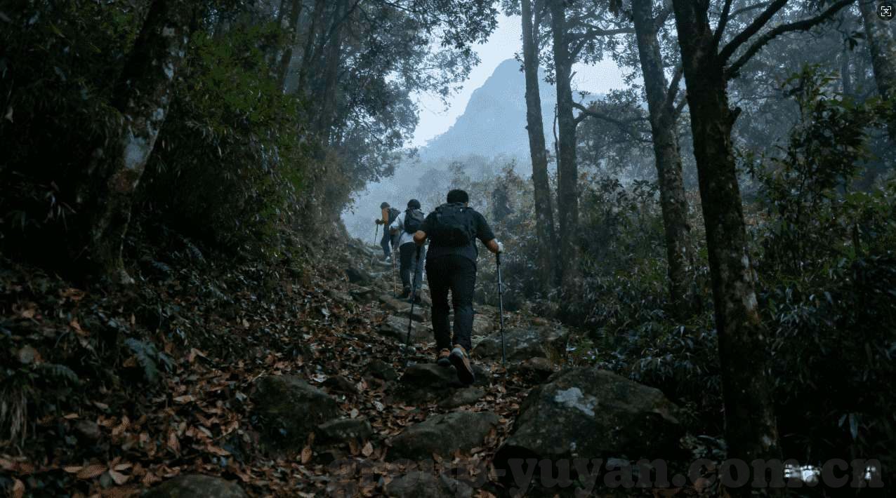 女神联盟九游版下载-游戏新体验，女神联盟九游版下载探索之旅