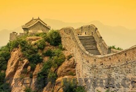 森林舞会登入-森林舞会，一场自然与科技的和谐乐章